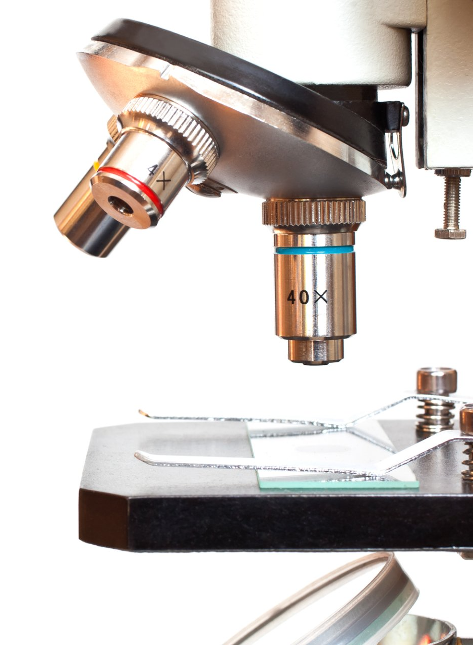 Blood Analysis in Clearwater, FL | L.A.L. Wellness Spa LLC