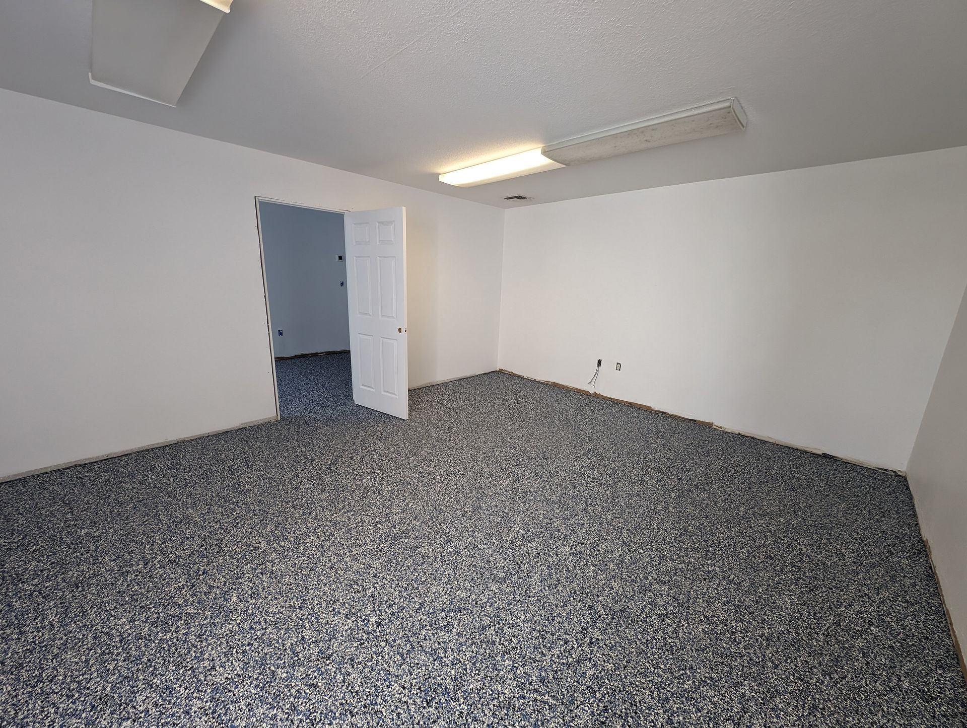 Empty white room with speckled carpet, fluorescent ceiling light, and an open doorway
