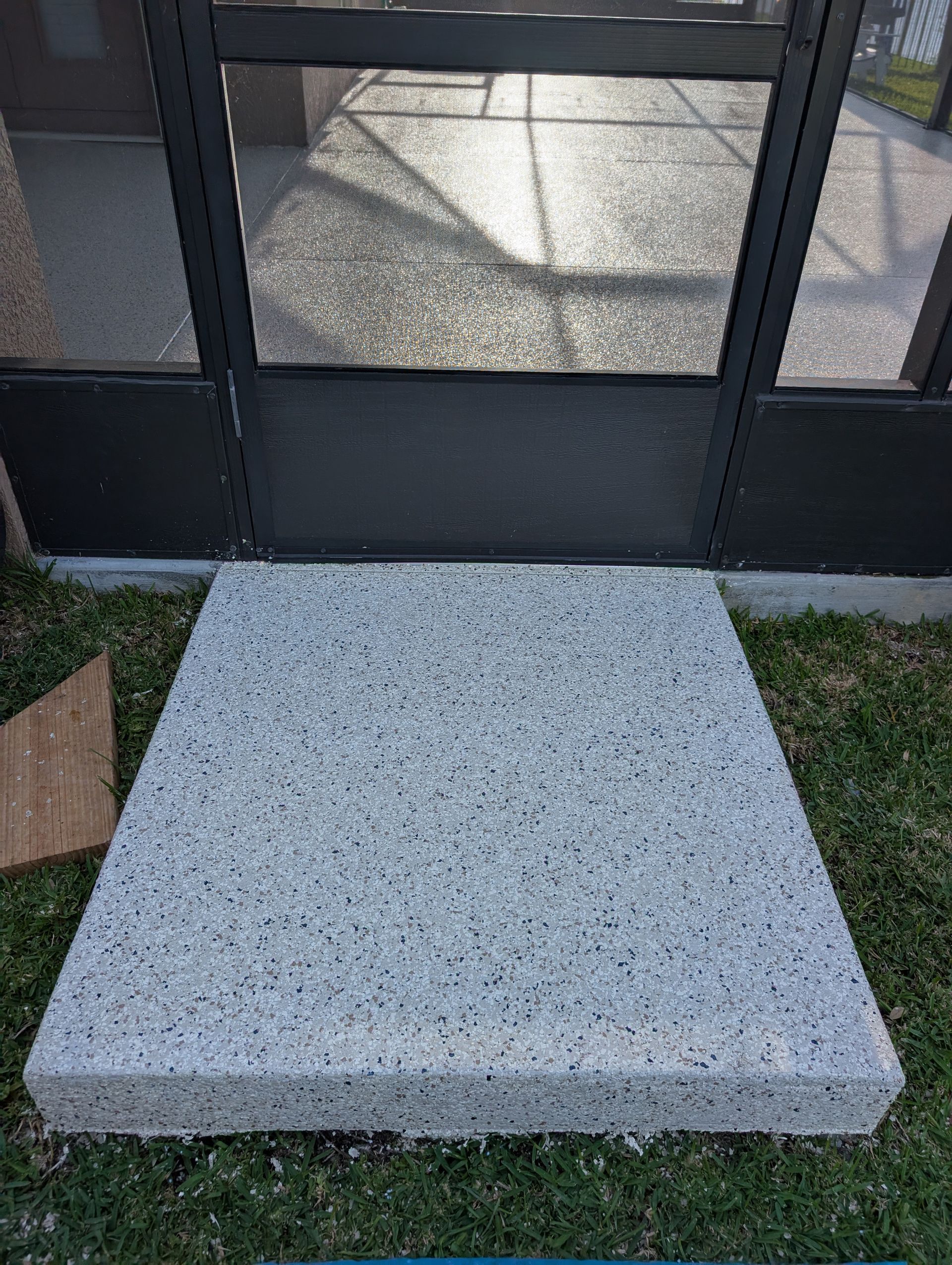 Gray concrete step leading to a black-framed glass door with grass on both sides.
