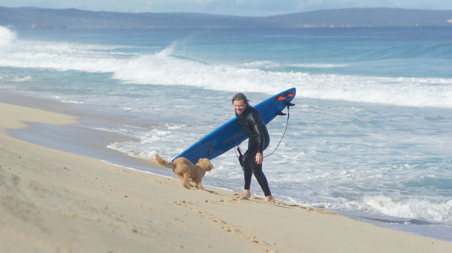 Person with a blue surfboard walking a dog on a sandy beach beside the ocean.