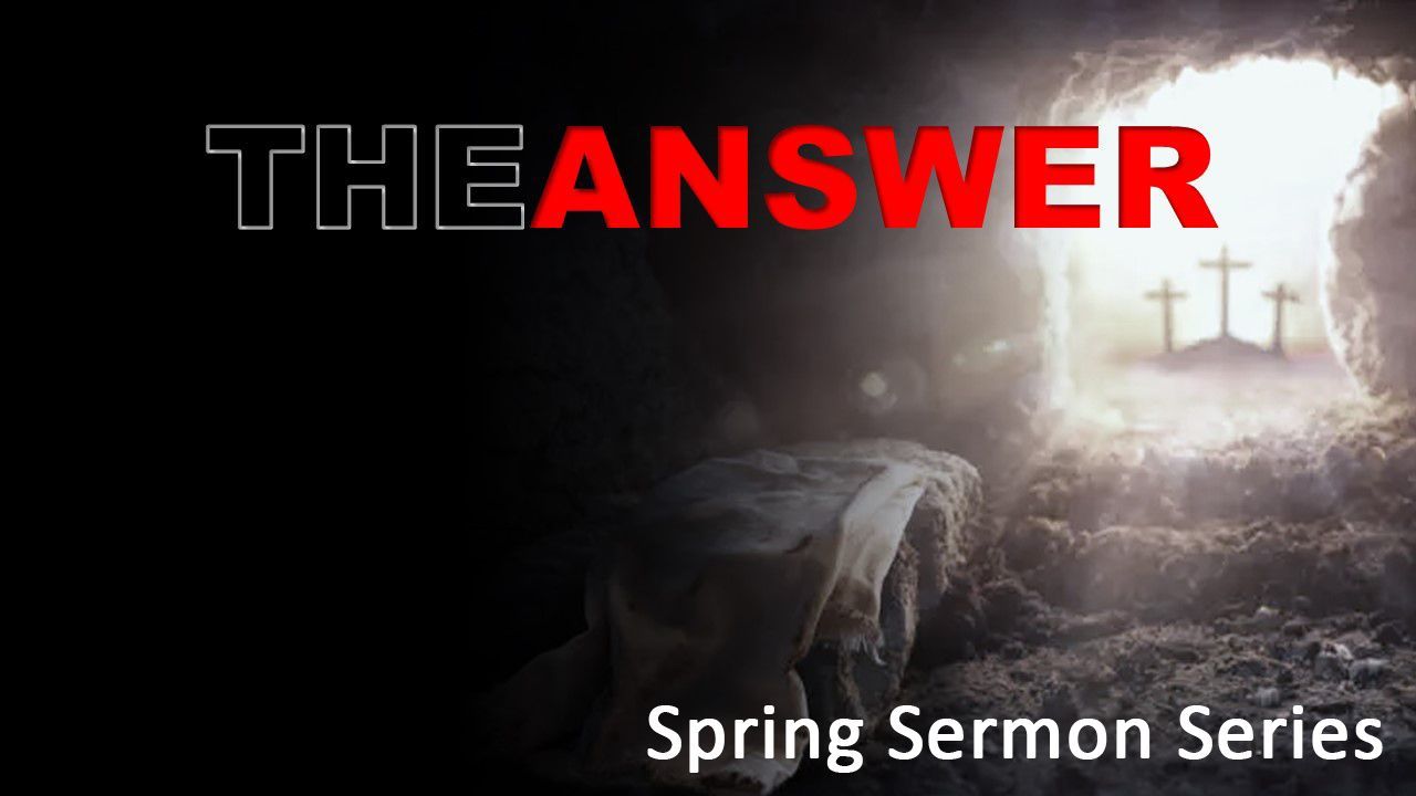 The Answer - Spring 2025 The Answer - Spring 2025