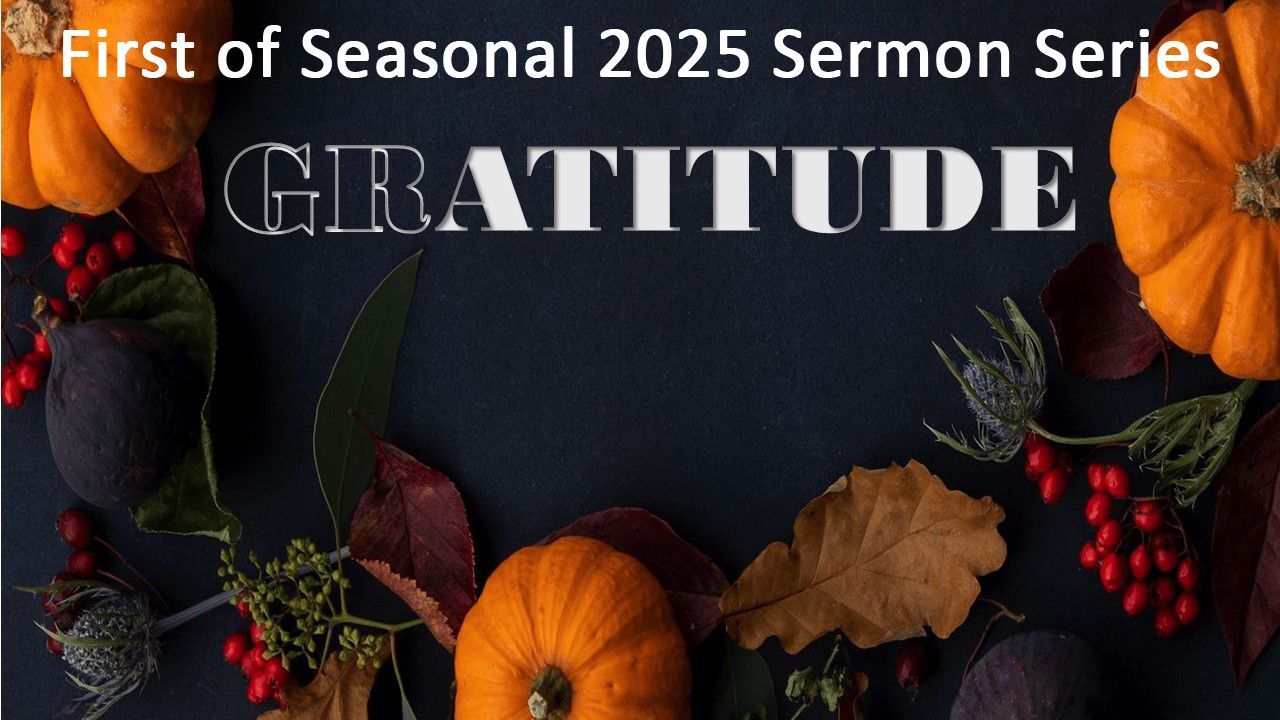 Gratitude - First of Seasonal of 2025 Gratitude - First of Seasonal of 2025