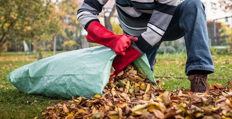 Person With Red Gloves Filling Green Bag — All Suburbs Garden Bags in Gordonvale, QLD