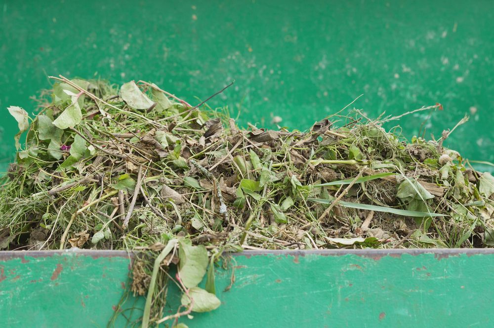 Pile of Green Weeds and Grass in a Green Container, Likely a Yard Waste Bin — All Suburbs Garden Bags in Edge Hill, QLD