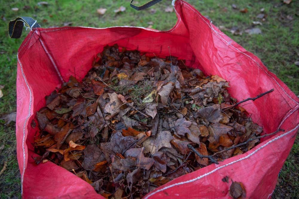 Red Bag Filled With Dead Leaves and Twigs on Grass — All Suburbs Garden Bags in Palm Cove, QLD