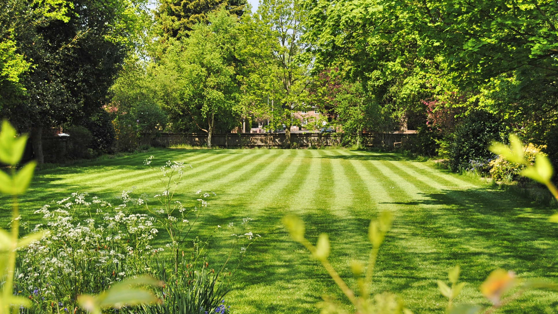 Lawn Care Services img