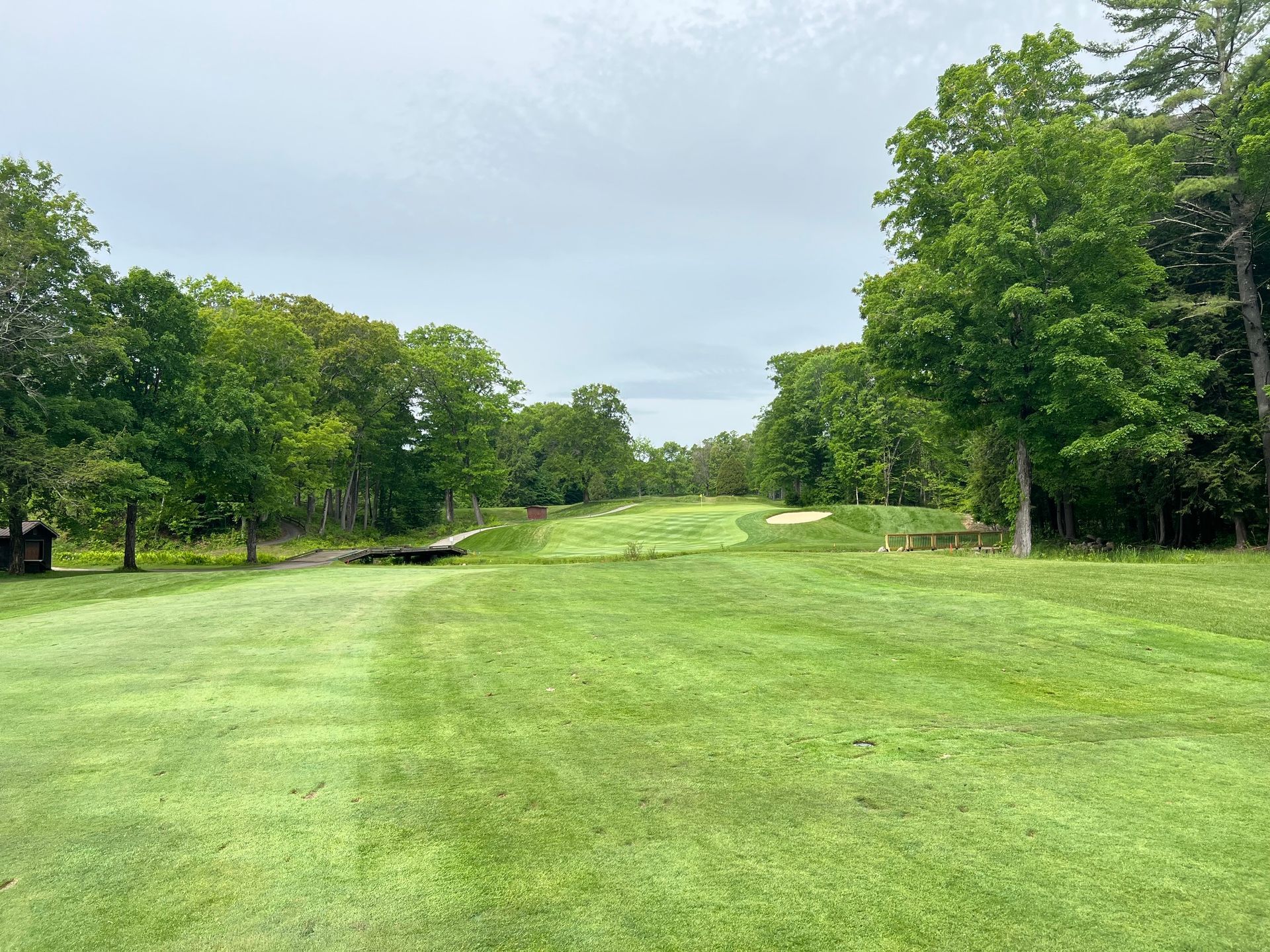 Hole #12