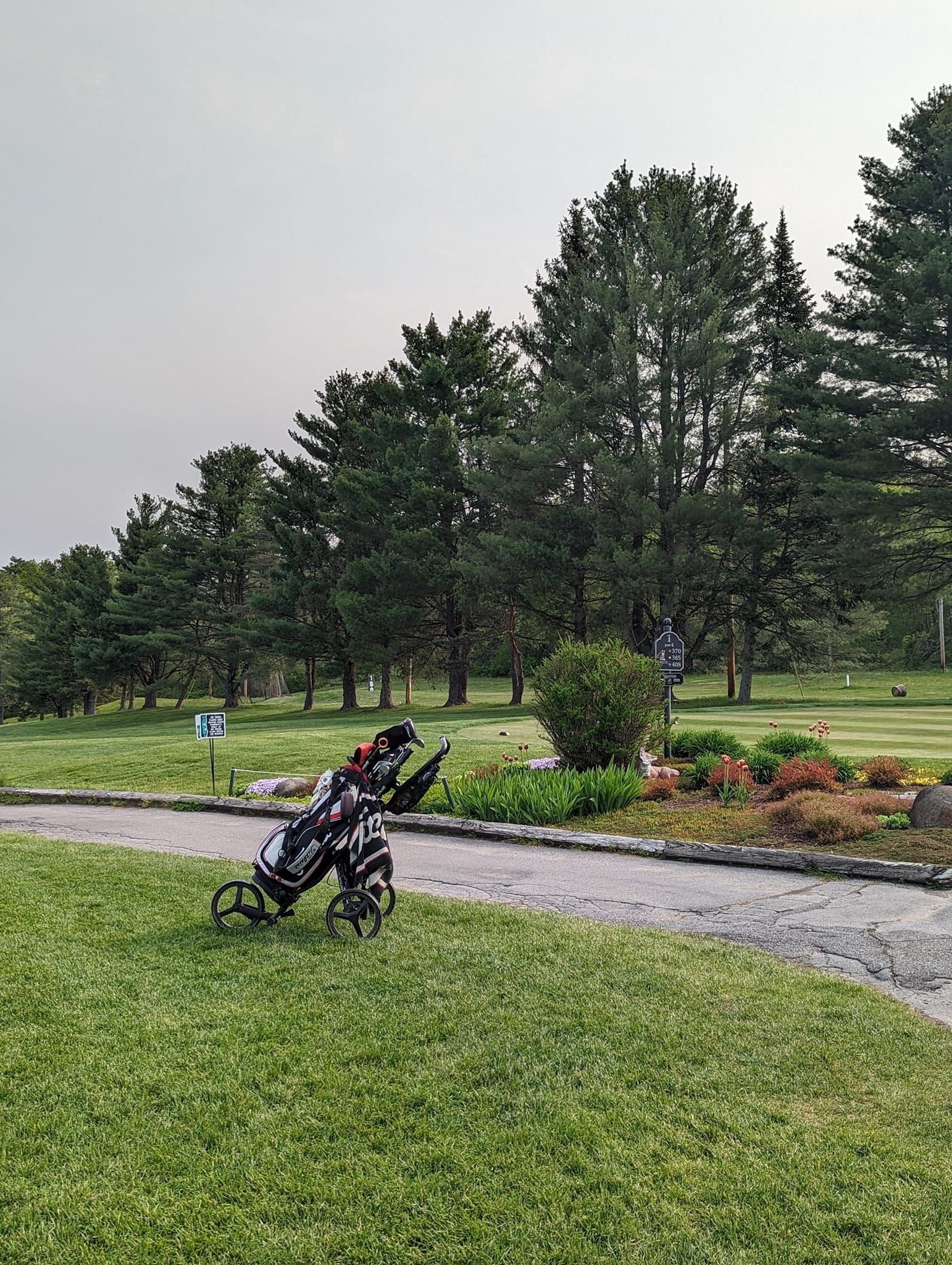 Golf bag on a green, with trees in the background under a cloudy sky.