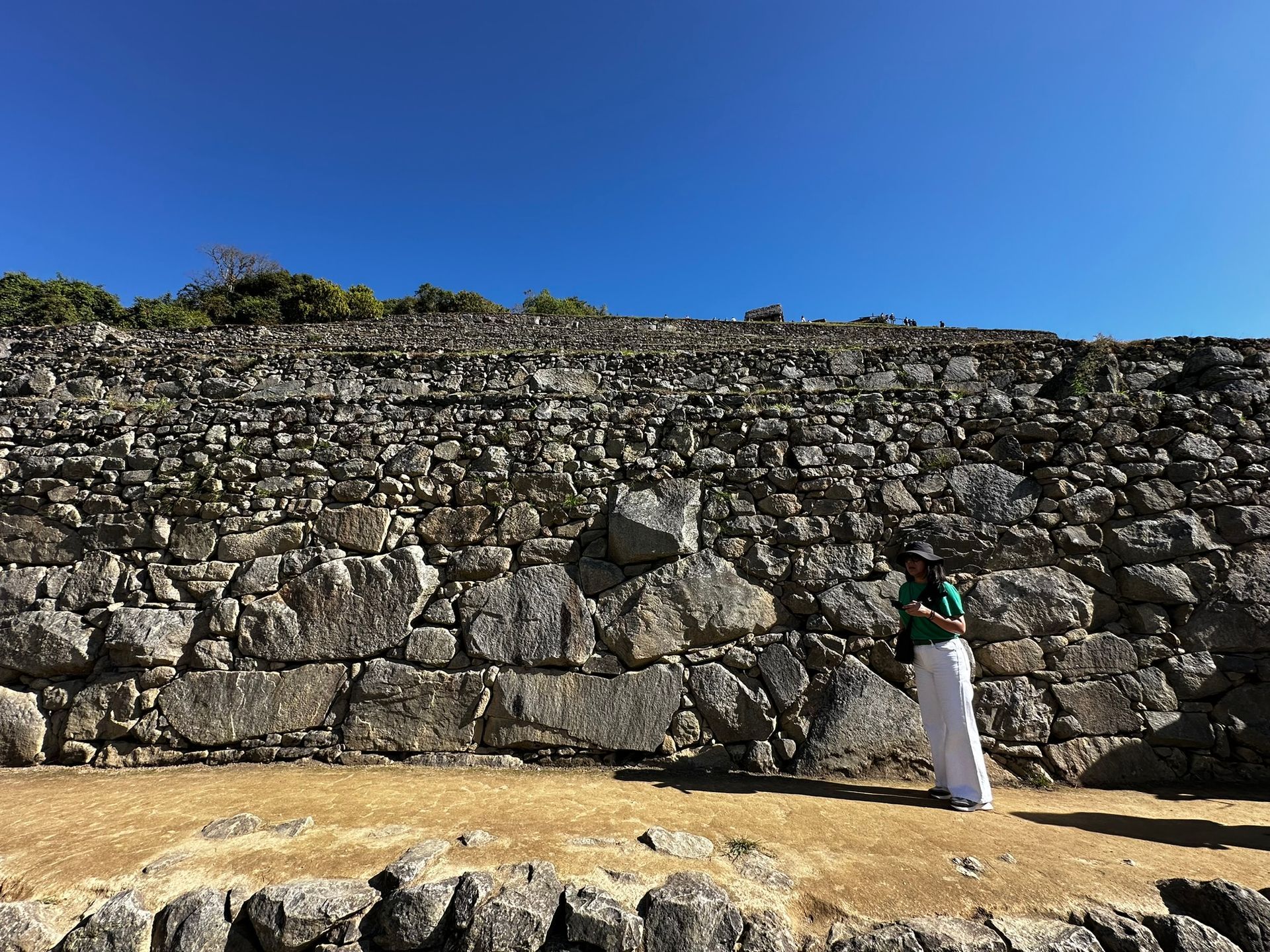Machu Picchu, terrazas incas