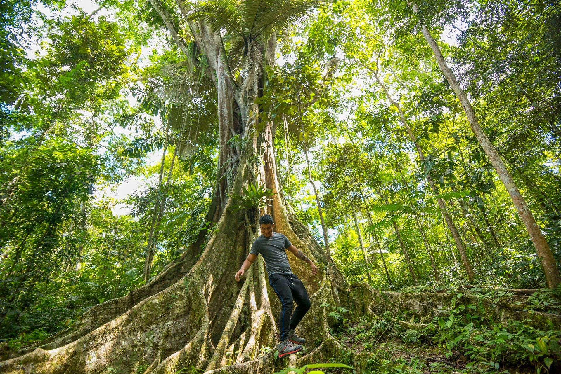 Pacaya Samiria Nature Reserve