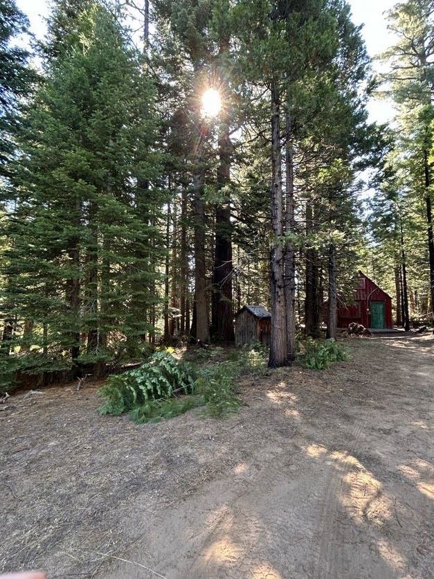Sunlight peeks through tall trees, illuminating a red cabin and a small shed in a forest setting.