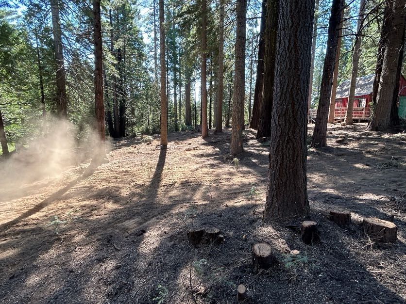 Dust swirls as a dirt path is cleared in a sunny forest, near trees and a building.