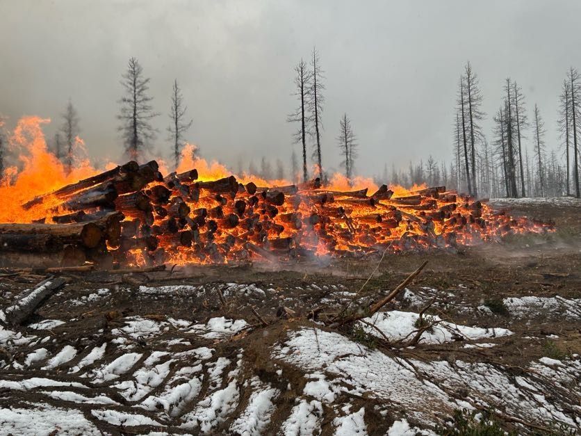 Pile of burning logs with flames and smoke in a snowy forest setting.