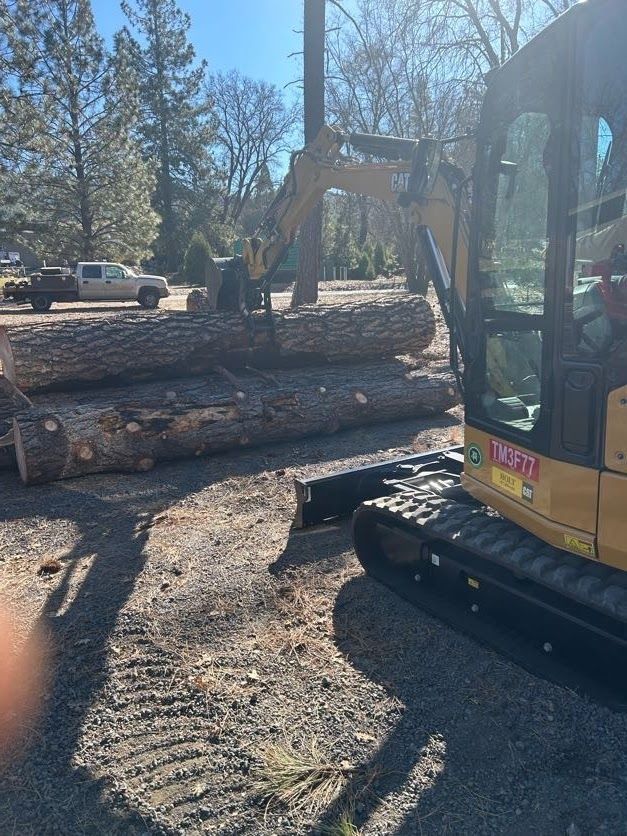 Yellow excavator lifting logs outdoors.