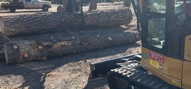 A yellow excavator lifting large logs. A white pickup truck is parked in the background.