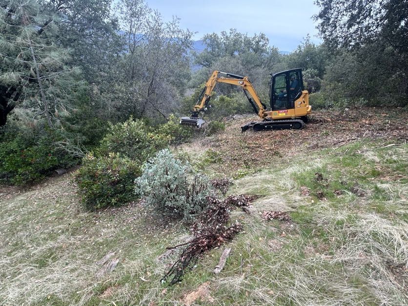 Yellow excavator clearing brush on a hillside with trees; cloudy sky in the background.