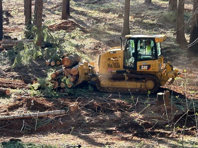 Yellow bulldozer clearing fallen trees in a forest.