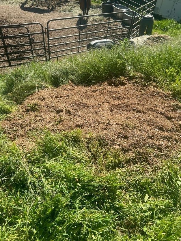 Brown mound of dirt in grassy area near a gate, possibly prepared for planting.