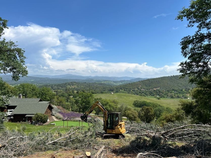 Yellow excavator clearing trees, house in the distance, green hills, and blue sky with clouds.