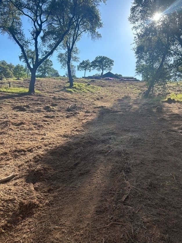 A sunny hill with a dirt path leads to a structure. Trees dot the landscape.
