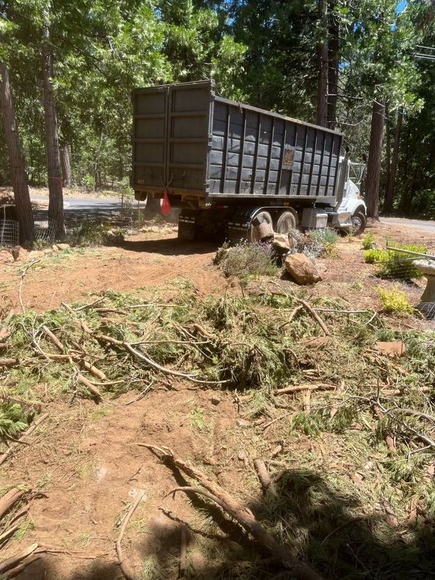 A truck with a full container, piles of branches and a dirt area in a sunny outdoor setting.
