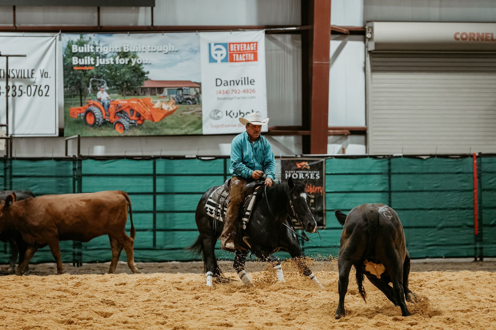 Cowboy on horse, cutting cattle in indoor arena. Horse is black, dust flying.