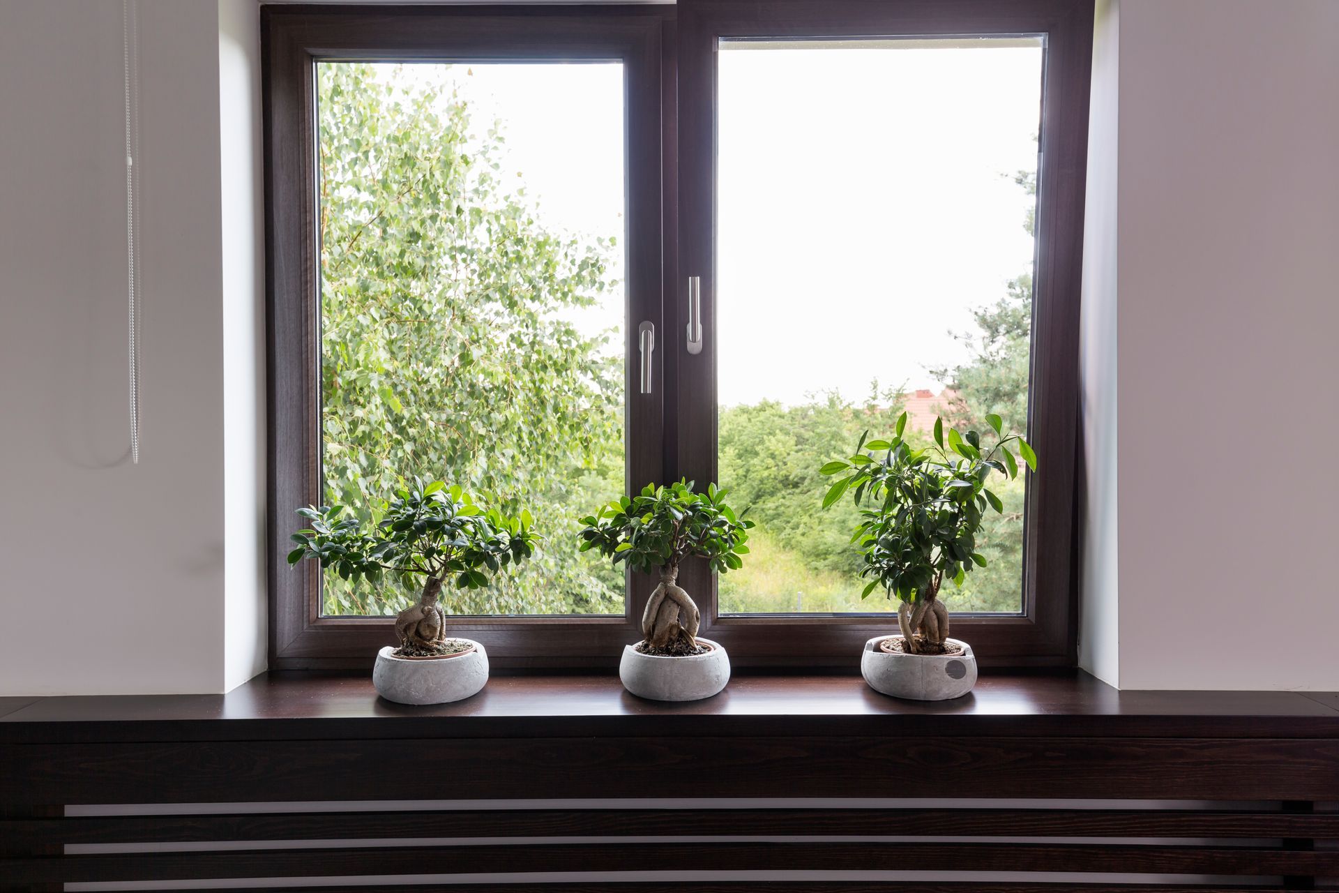 finestra in legno