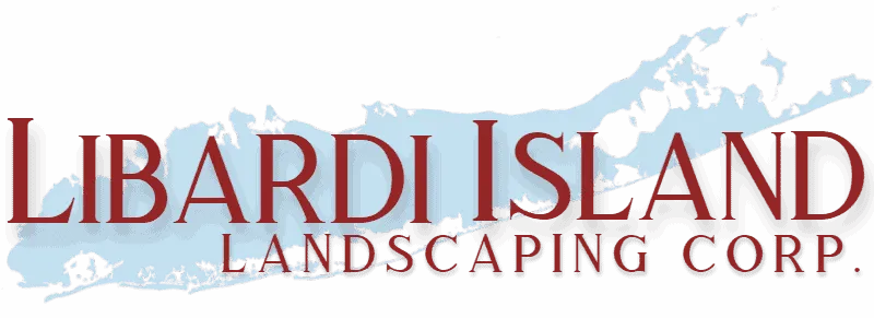 South Shore Creative Media - Web design - graphic design - social media - long island