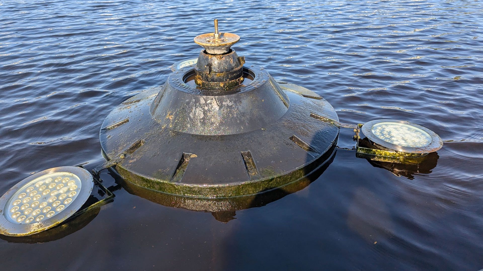 Black buoy with two attached circular lights floating in water.