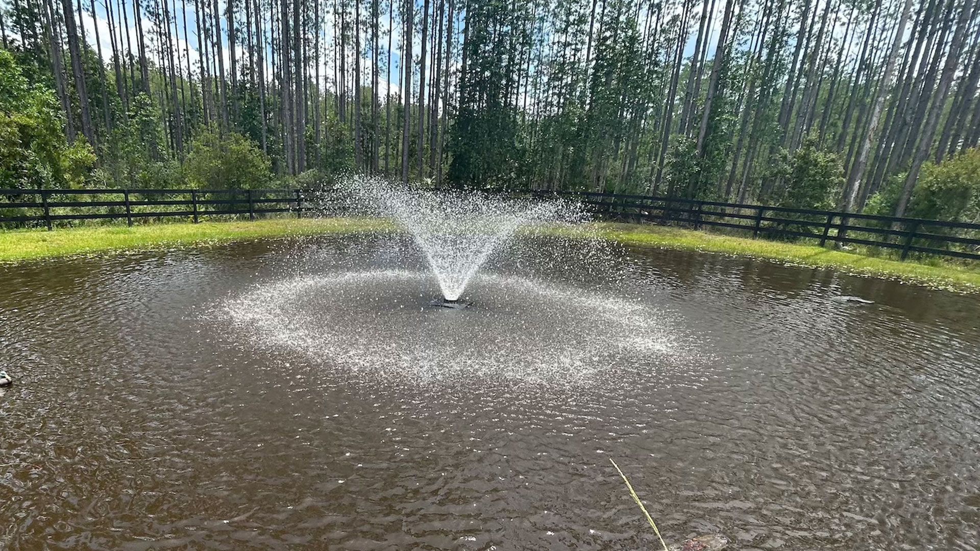 A pond with a fountain spraying water, surrounded by grass and a forest.