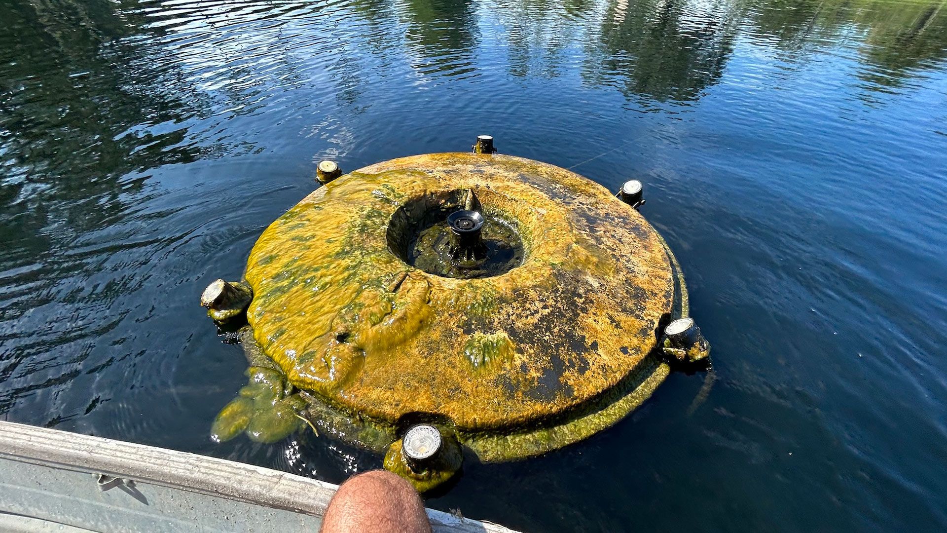 Round, algae-covered concrete structure floating in water, with cylindrical posts around the edge and central hole.