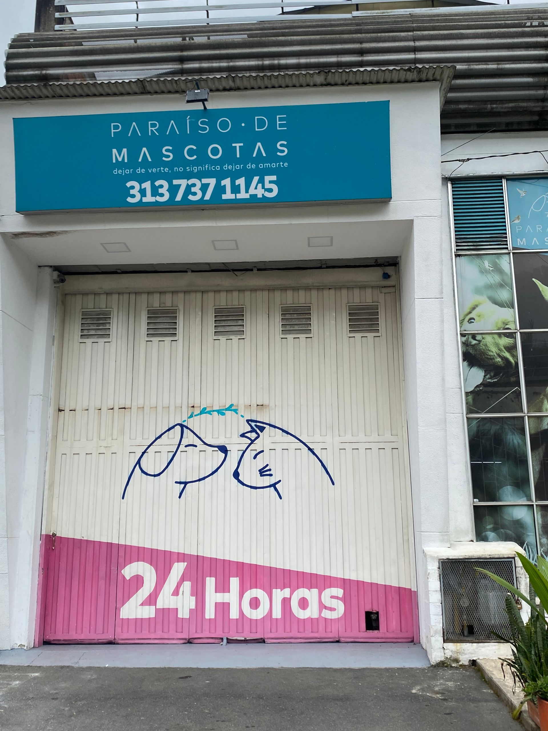 Storefront Paraíso de Mascotas with telephone number.