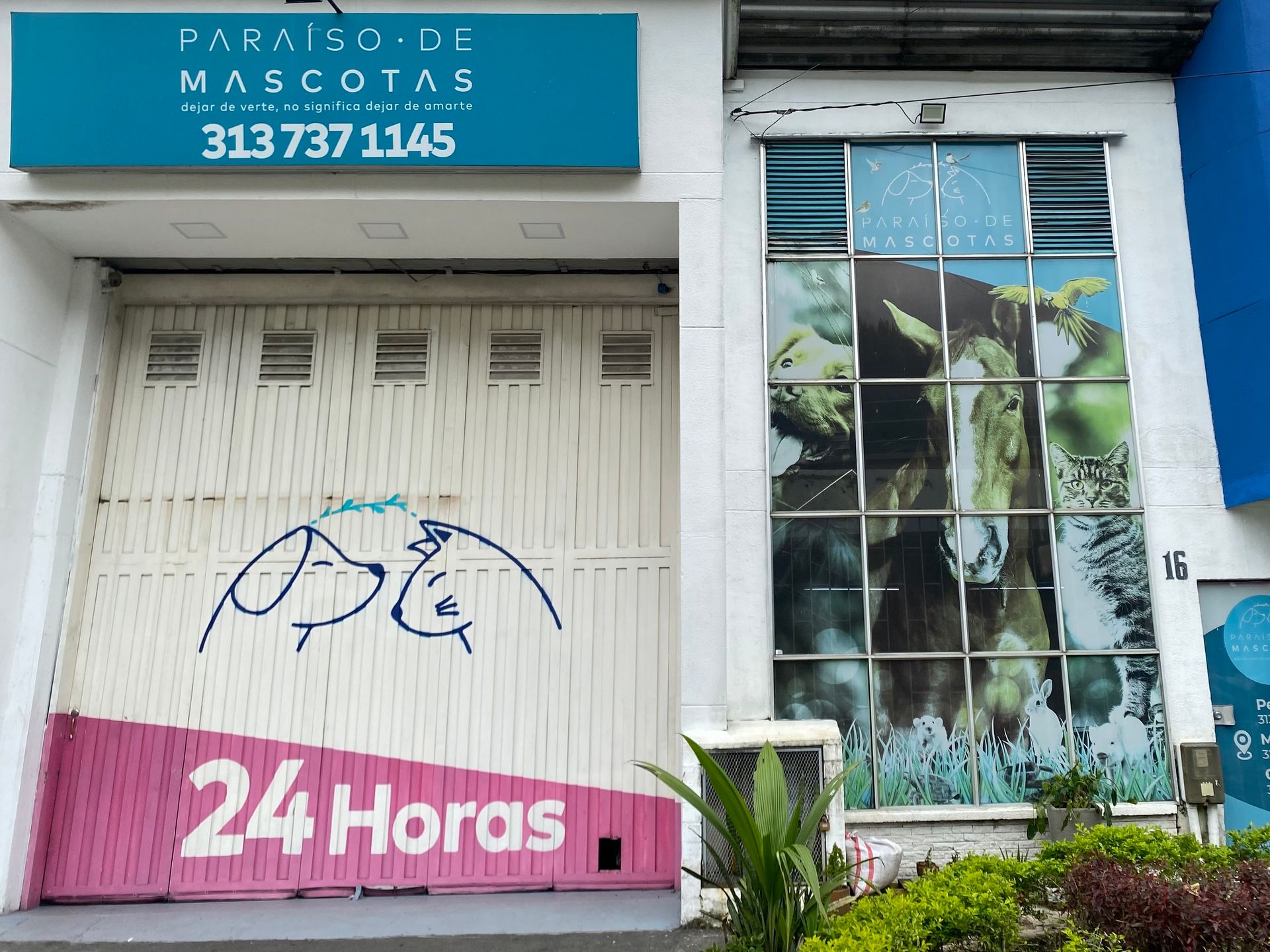 A storefront for Paraíso de Mascotas, featuring a dog and cat logo and a window display of a horse.