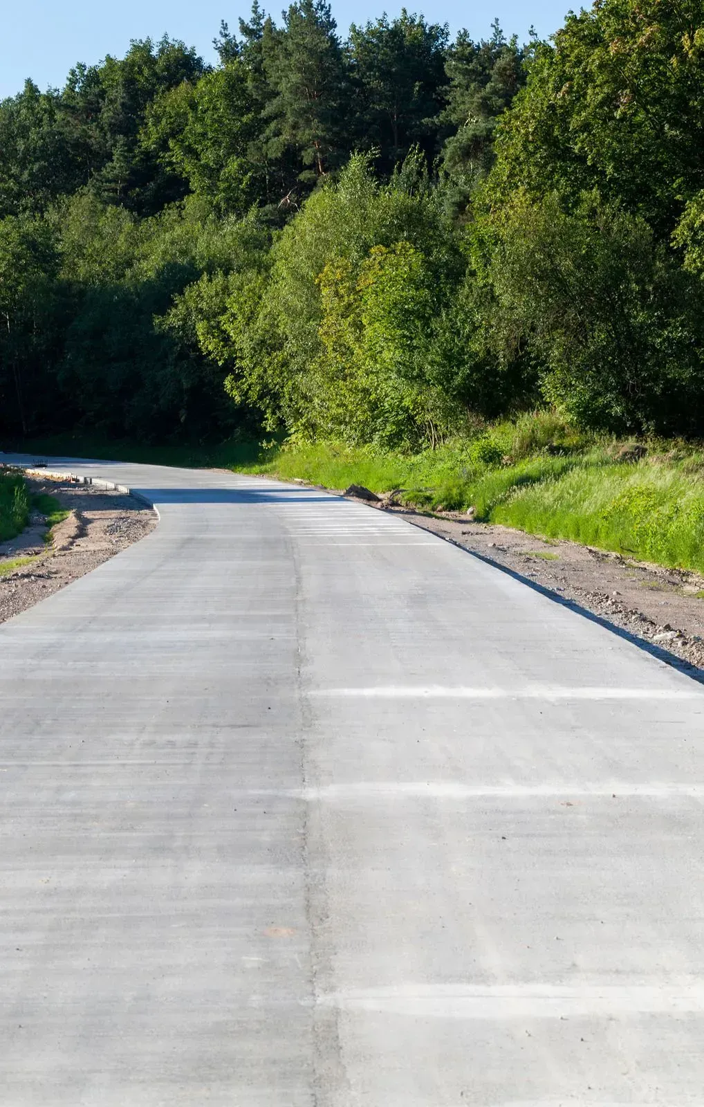 Empty paved road curving through dense green forest on a sunny day