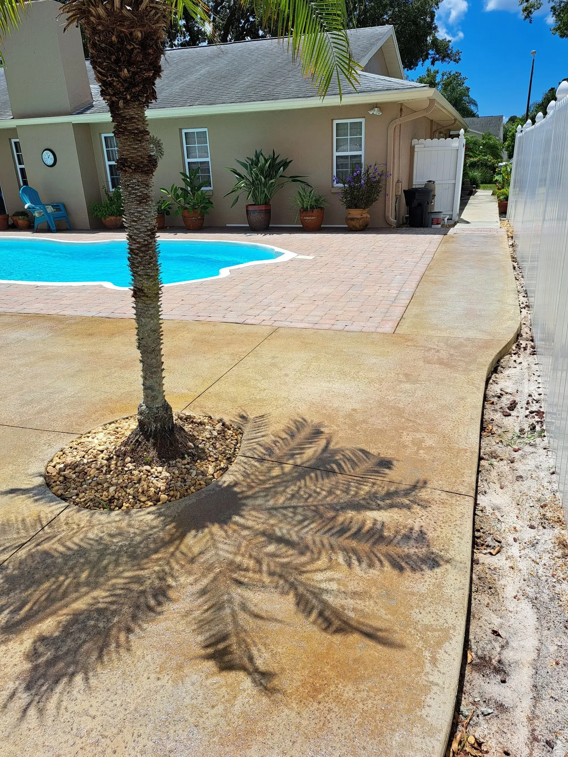 Backyard pool beside a tan house, with palm trees and a dry gravel yard in bright sun.