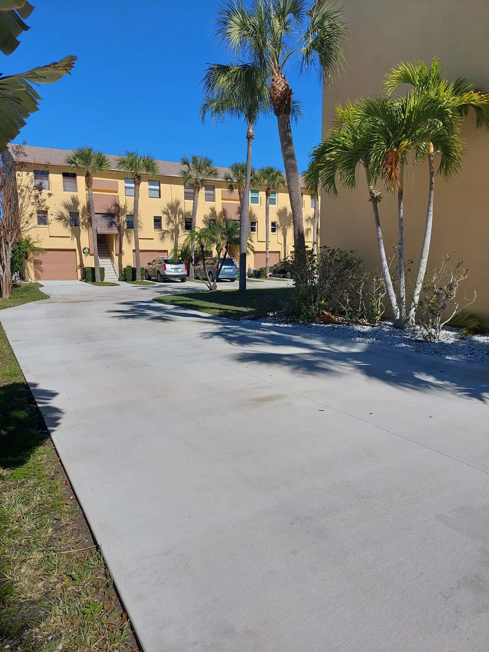 Sunlit driveway beside tan apartment buildings and tall palm trees under a clear blue sky