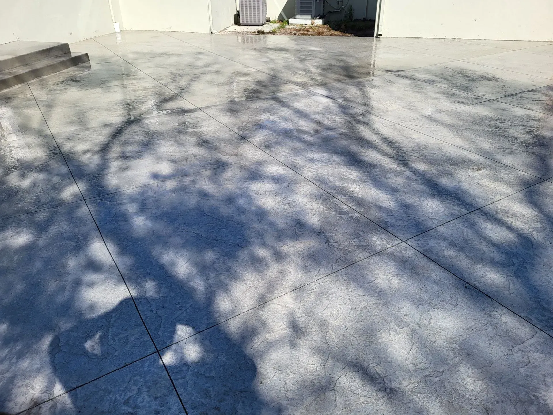 Sunlit concrete driveway with tree shadows and a building at the top edge