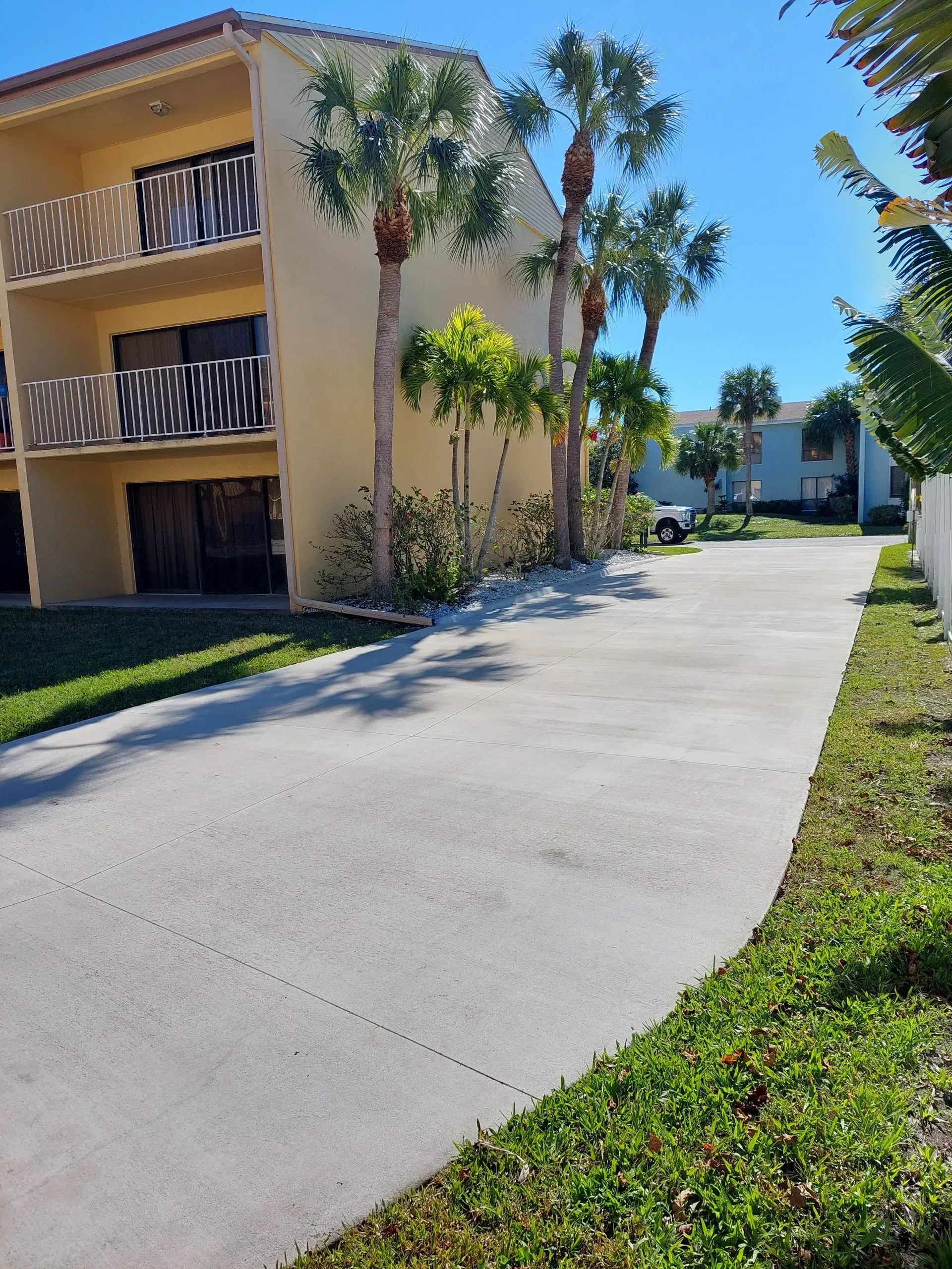 Sunny apartment driveway lined with palm trees beside beige buildings and green lawns