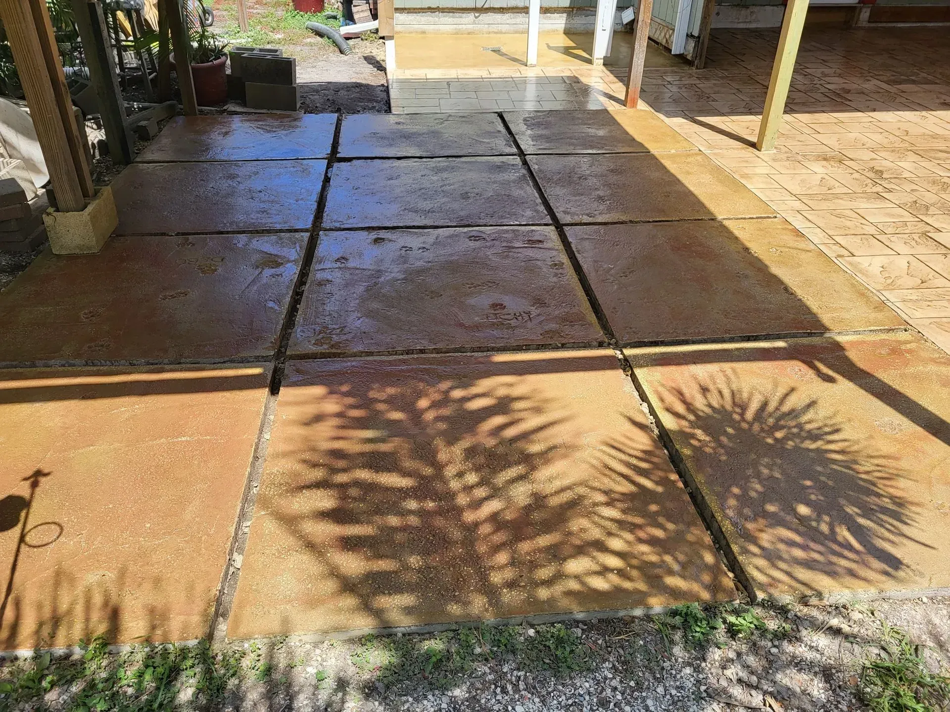 Shaded outdoor patio with square paving stones and plant shadows on a wet surface