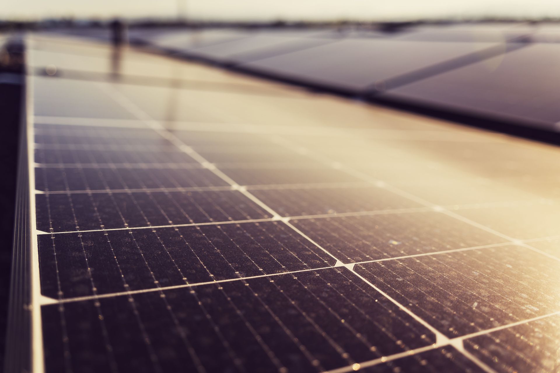 Solar panels in warm sunlight on a rooftop, seen in close-up.