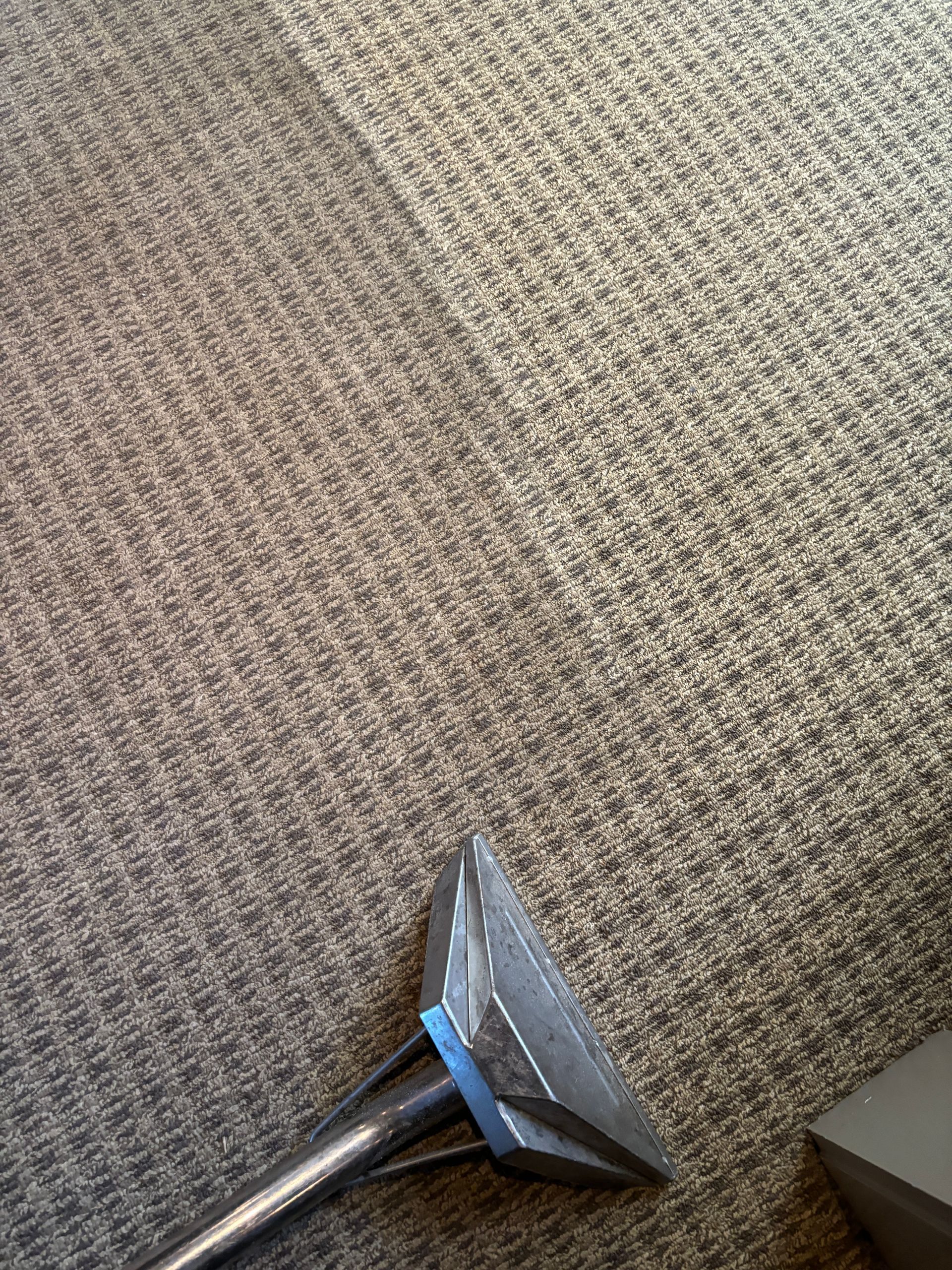 A vacuum cleaner is sitting on top of a carpet.