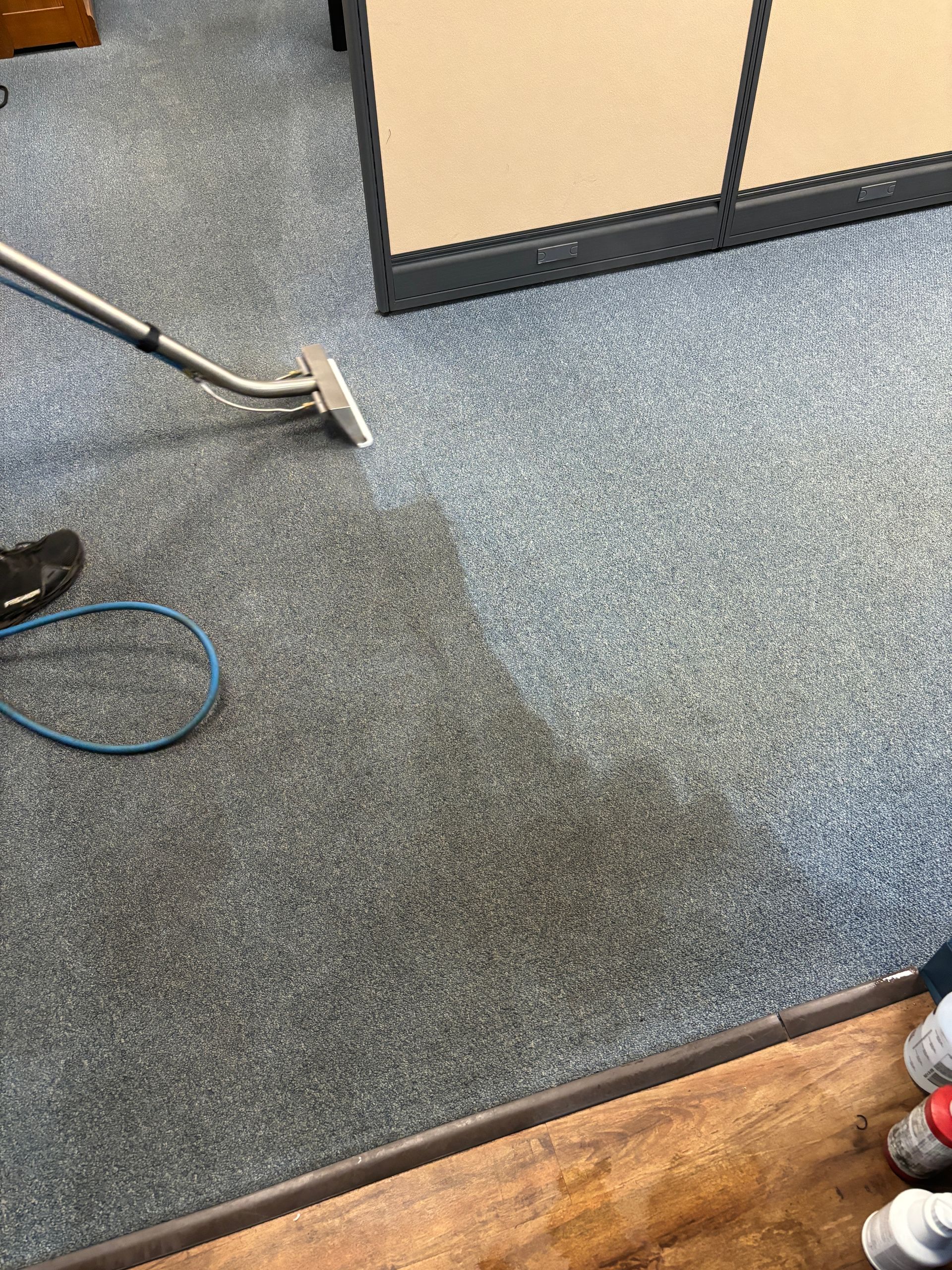 A person is cleaning a carpet with a vacuum cleaner.