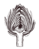 Logo: Anna Verheijen, holistisch coach en Reiki master, Tilburg