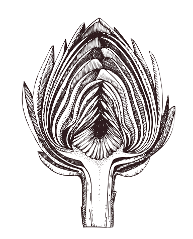 Logo: Anna Verheijen, holistisch coach en Reiki master, Tilburg