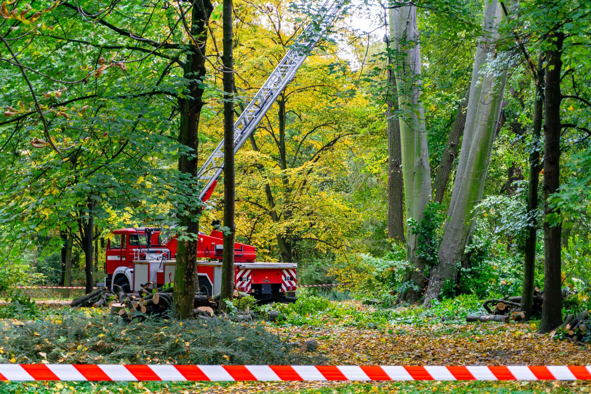 Red fire truck behind yellow caution tape in a wooded park, partially obscured by trees