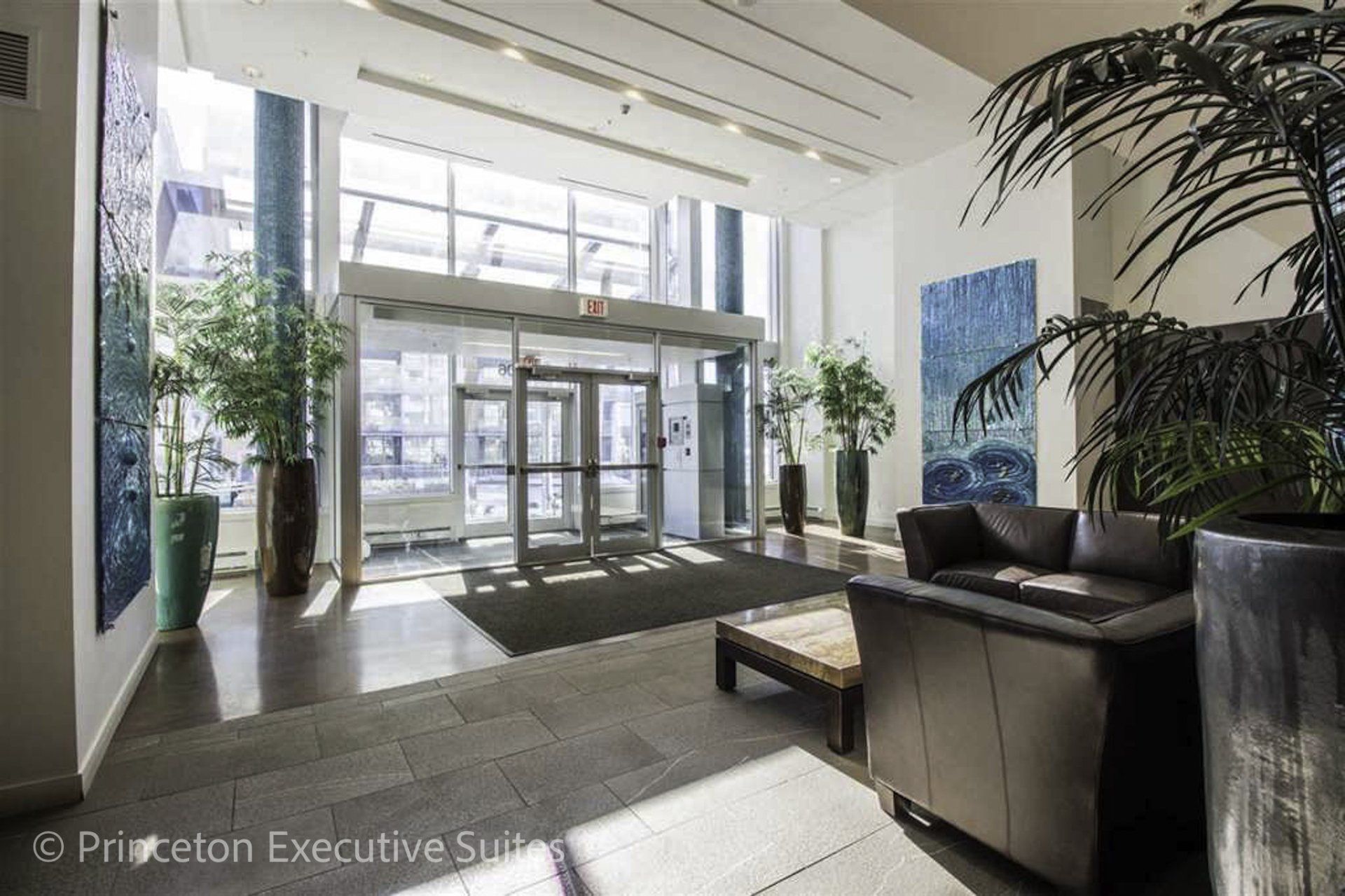 Lobby with glass doors, modern furniture, plants, and abstract blue art.