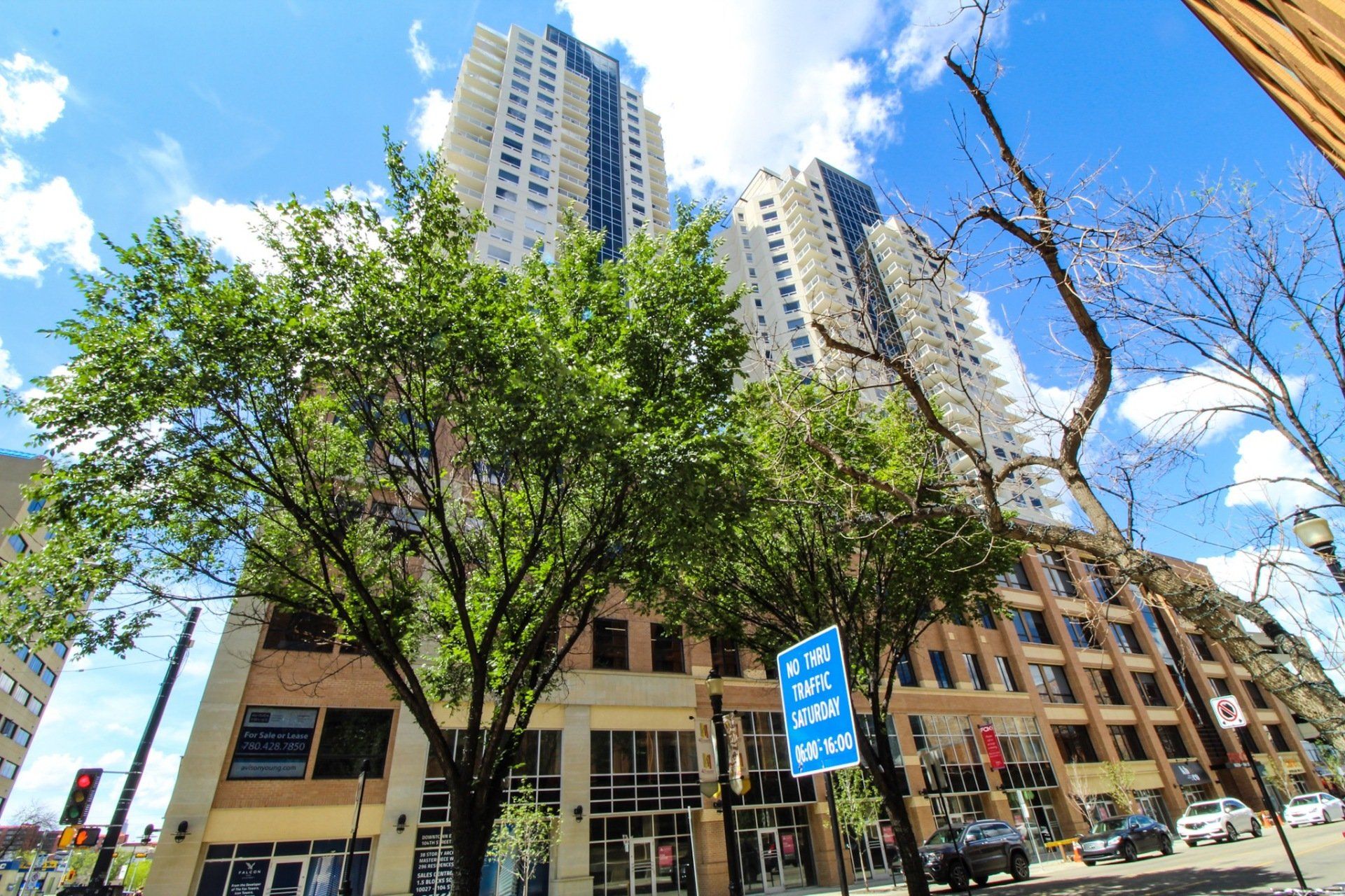 Tall apartment buildings behind trees on a sunny street with shops and cars.