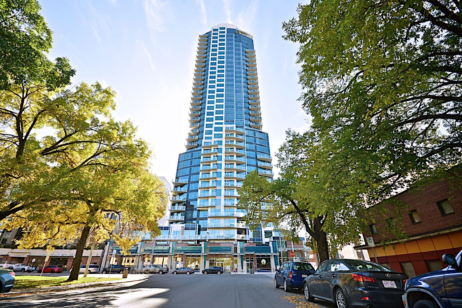 Blue glass tower on a sunny day mature trees lining the street
