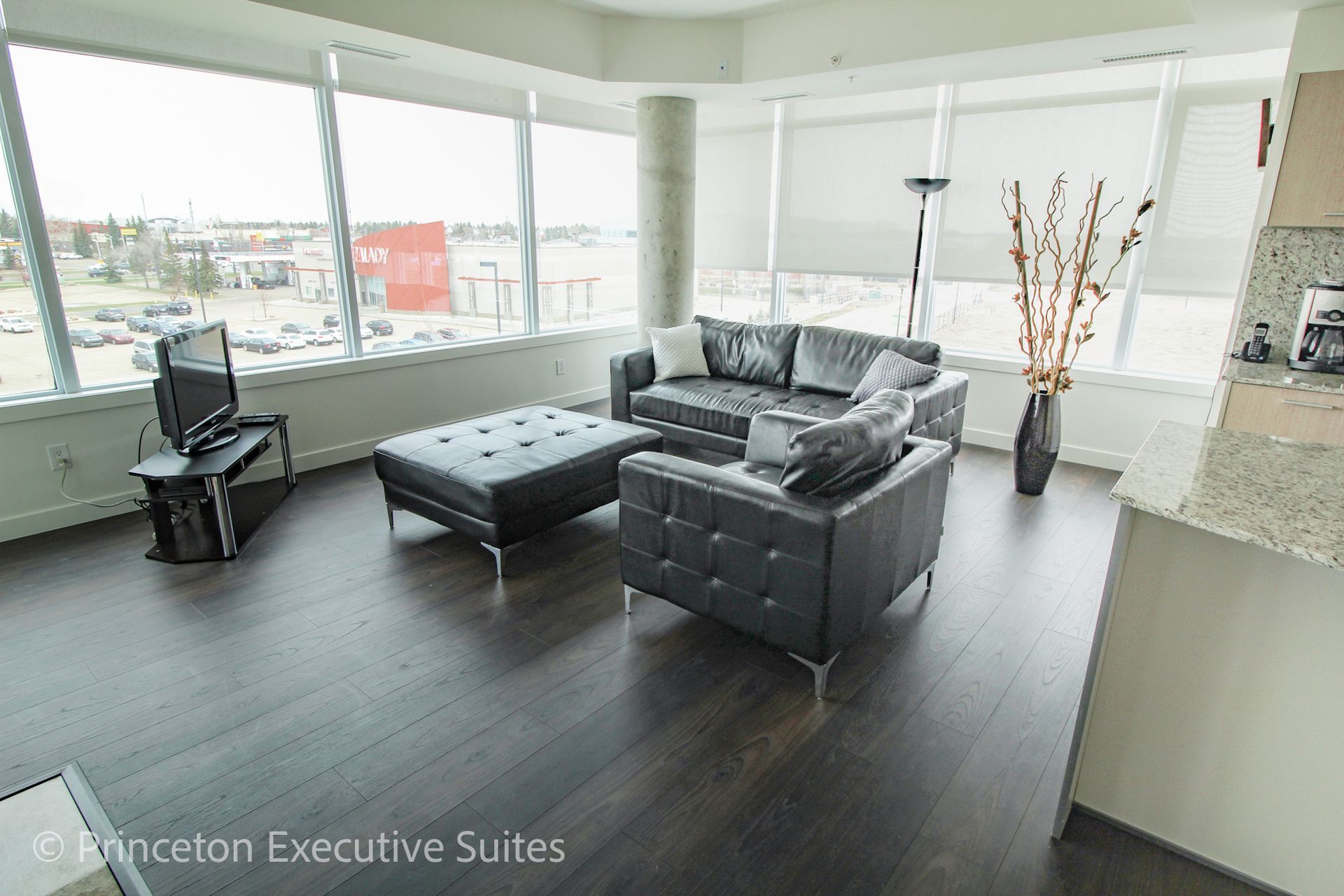 Modern living room with leather furniture, large windows, and a dark wood floor.
