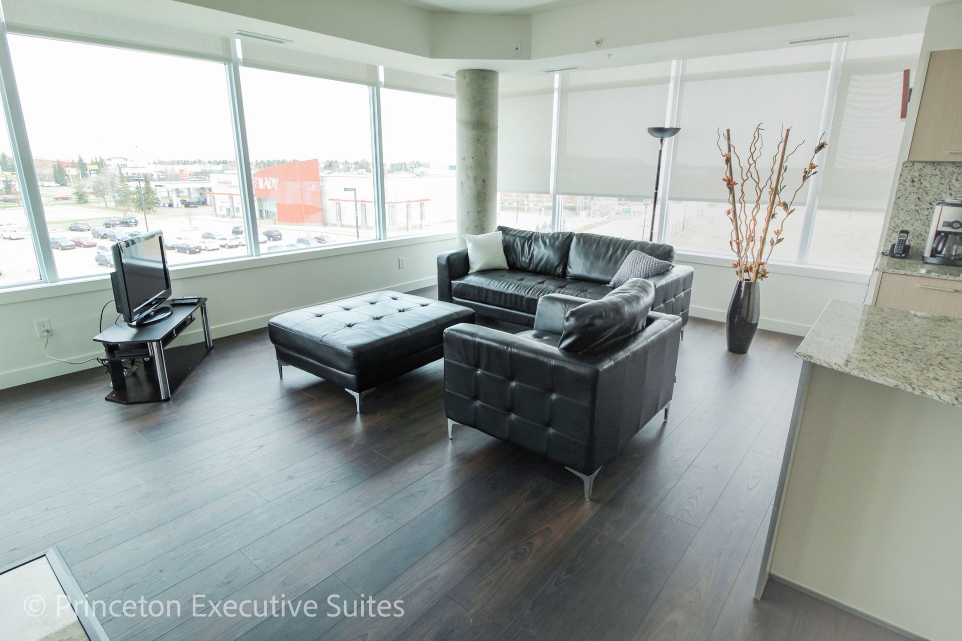 Modern living room with black leather furniture and large windows.